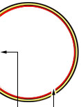 RETINA:  è uno dei tre strati dell'occhio umano. Lo strato più interno è uno strato complesso e delicato (dello spessore di 0.4 mm) che riveste la parte interna di due terzi del bulbo oculare. 